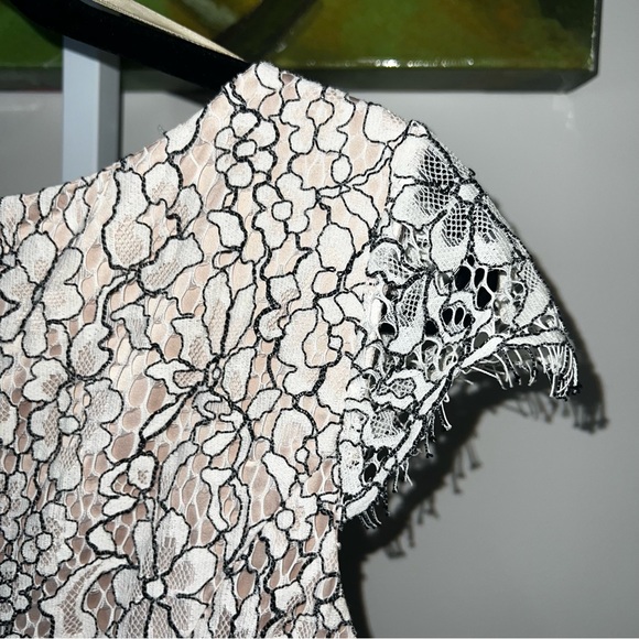 Eliza J Cream & Black Lace Cocktail Dress with Pockets Size 4 - Picture 6 of 15